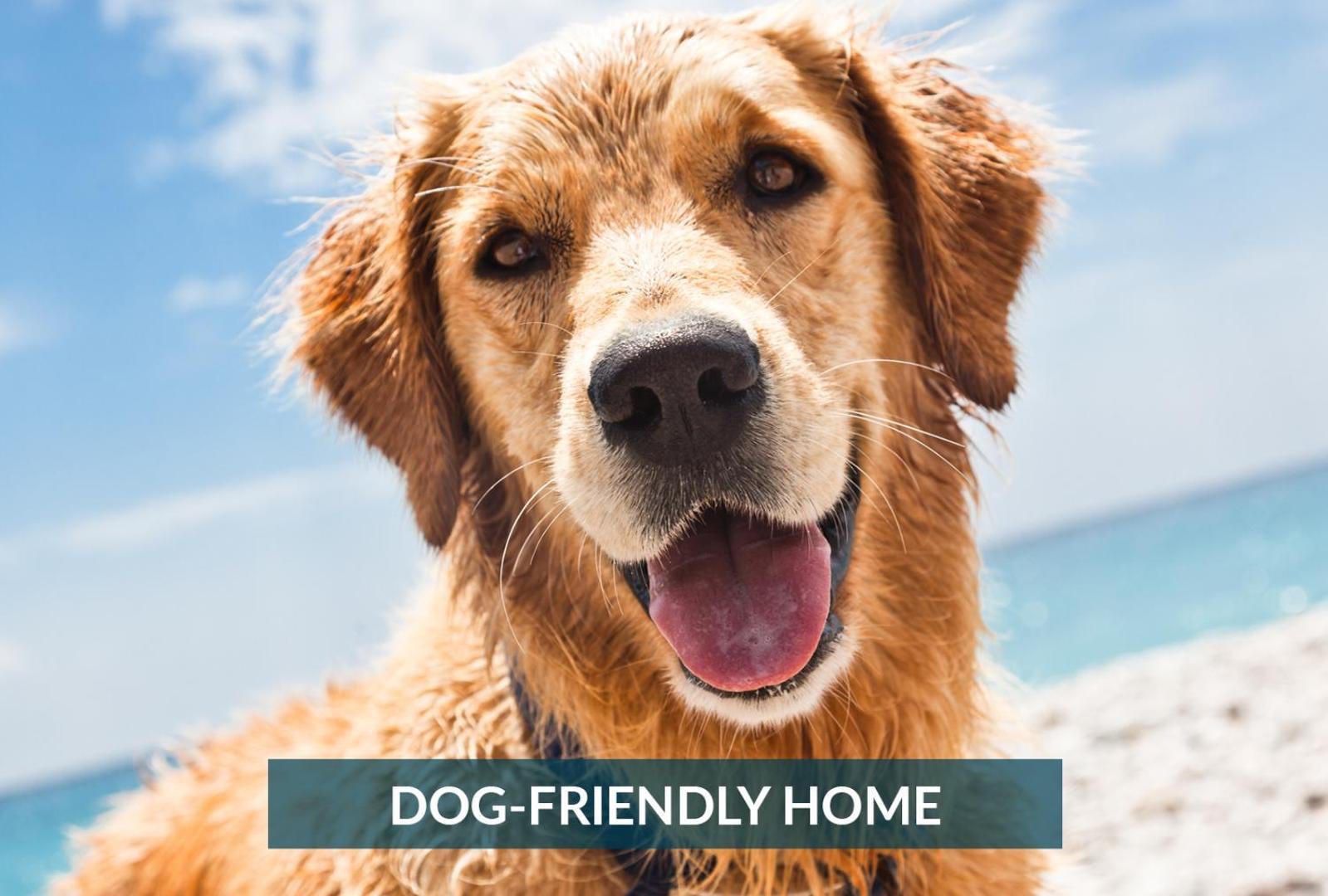 4011 The Dogs House 2 Min Walk To Beach Кітті-Хок Екстер'єр фото